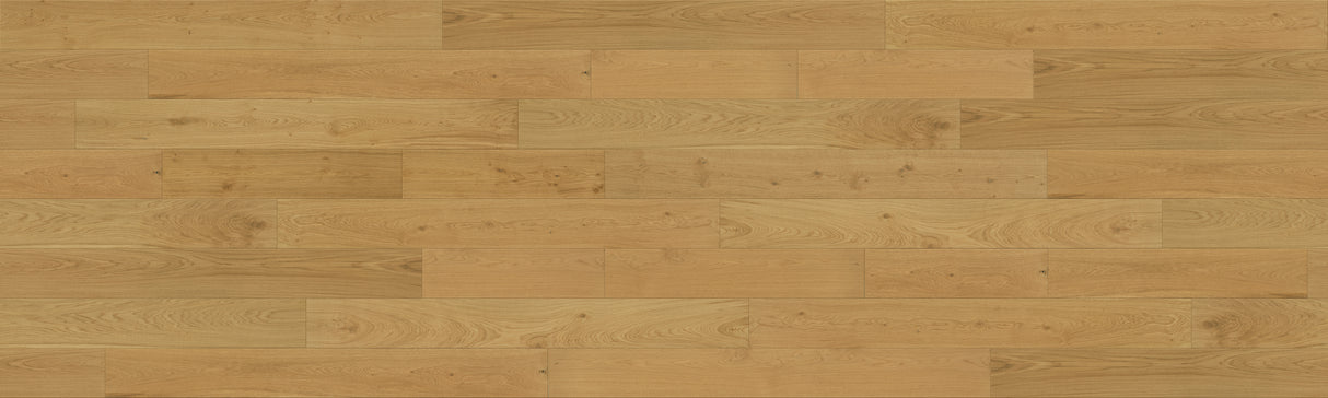 3/4 in. Golden White Oak Reserve Engineered Hardwood Flooring - Sample