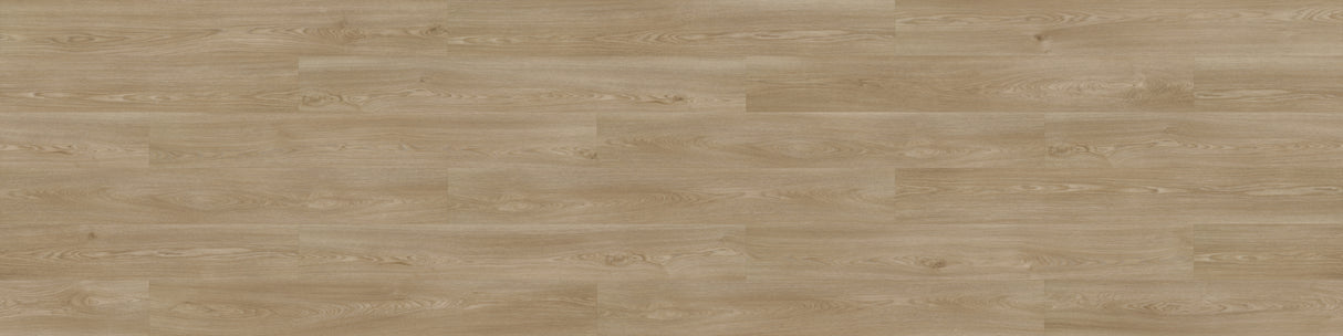 2mm Essence Oak Glue Down Waterproof Vinyl Plank Flooring