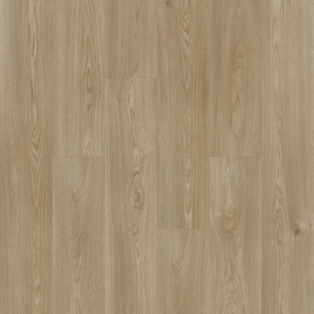 2mm Essence Oak Glue Down Waterproof Vinyl Plank Flooring