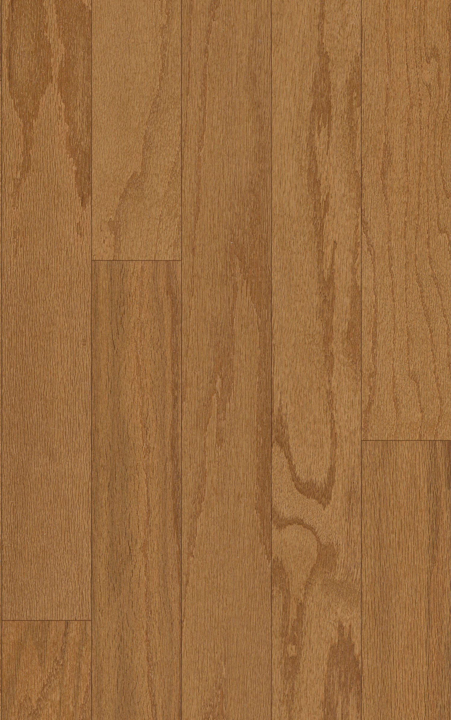 3/8 in. Butterscotch Oak Prefinished Engineered Hardwood Flooring 5 in. Wide
