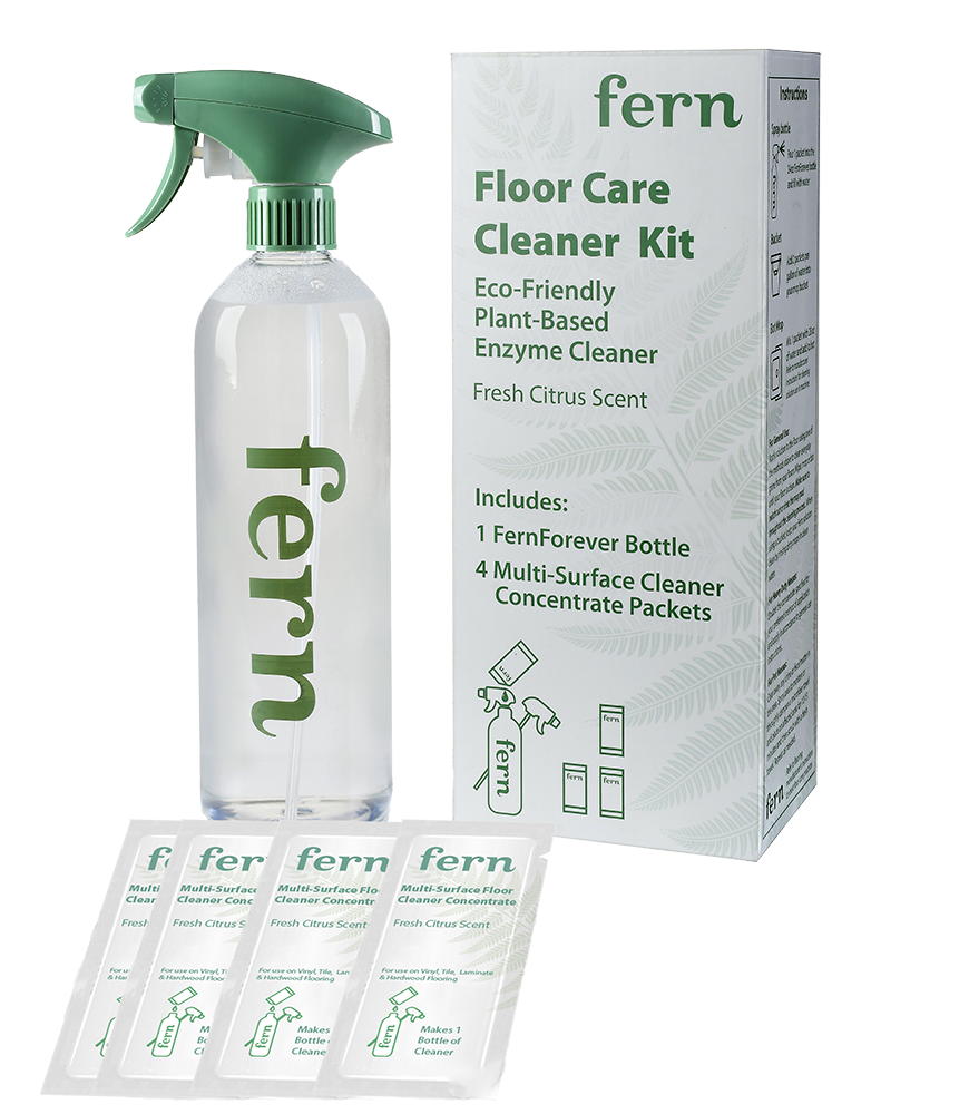 Fern Spray Bottle with Concentrate 4pk