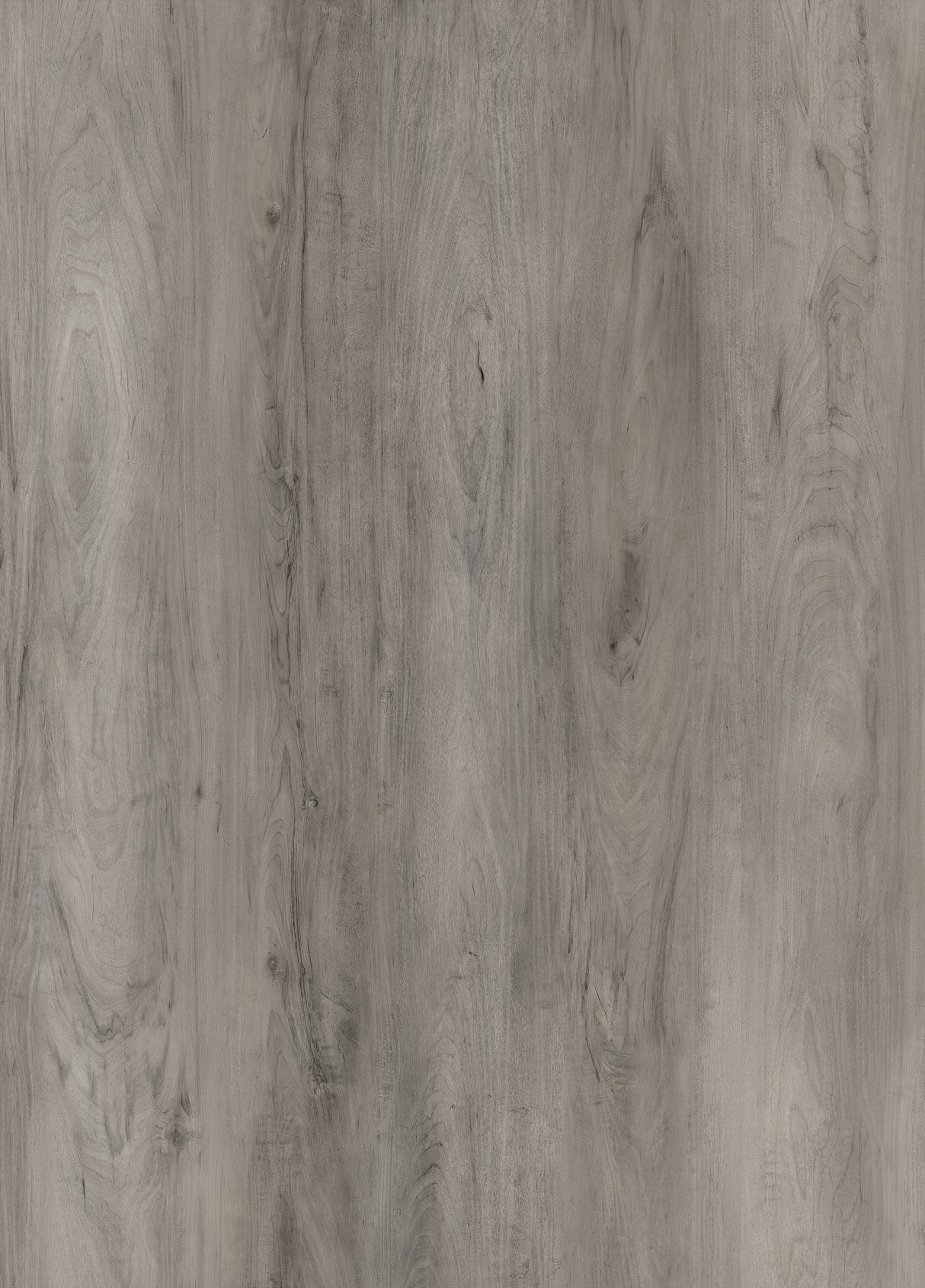 3.2mm Silver County Birch Waterproof Rigid Vinyl Plank Flooring - Sample