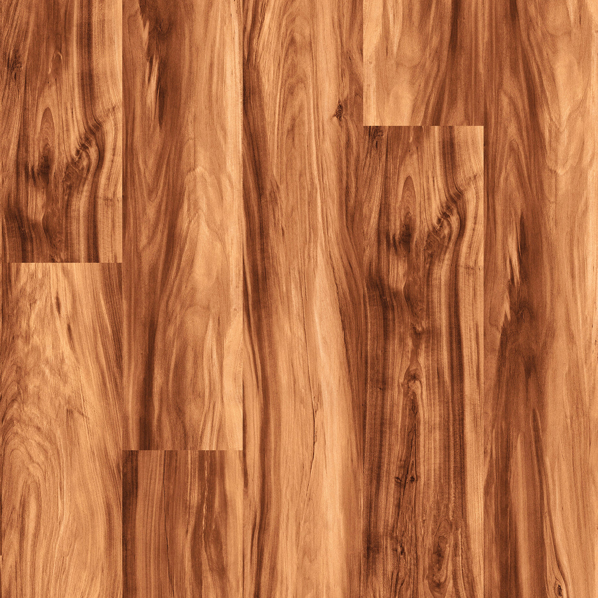 8mm w/pad Acacia Waterproof WPC Vinyl Plank Flooring 5.9 in. Wide x 48.00 in. Long
