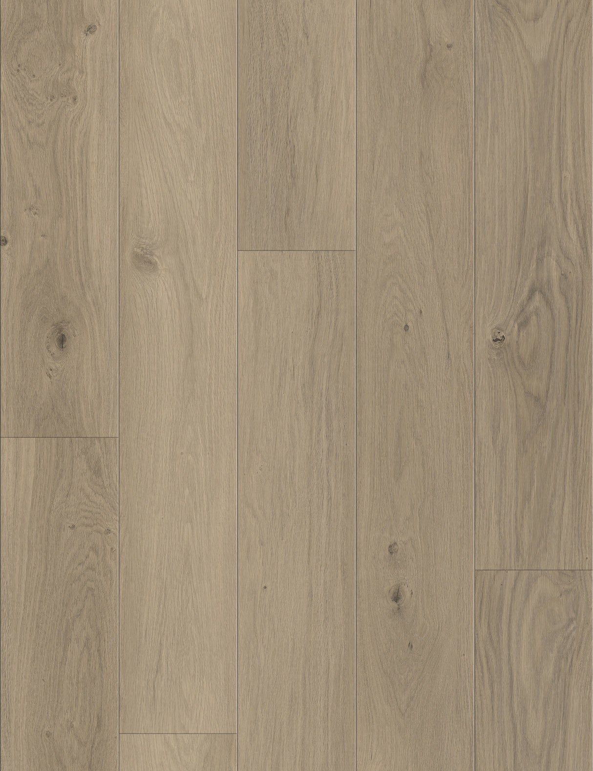 8mm w/pad Coastal Dawn Oak Waterproof WPC Vinyl Plank Flooring 6 in. Wide x 48 in. Long