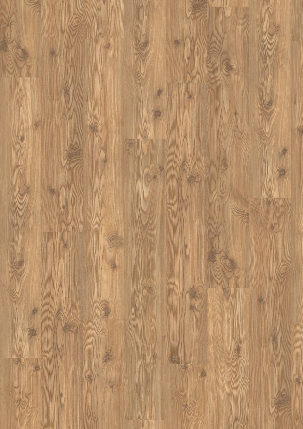 10mm Canadian Pine Water-Resistant Laminate Flooring 7.60 in. Wide x 50.87 in. Long