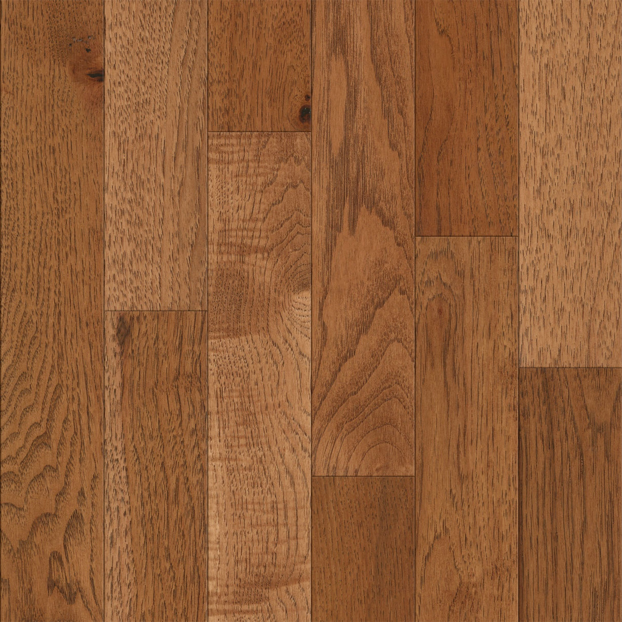 3/4 in. Hickory Saddle Prefinished Solid Hardwood Flooring 3 in. Wide