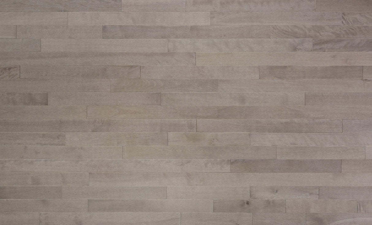3/4 in. Pebble Island Birch Solid Hardwood Flooring 3.25 in. Wide - Sample