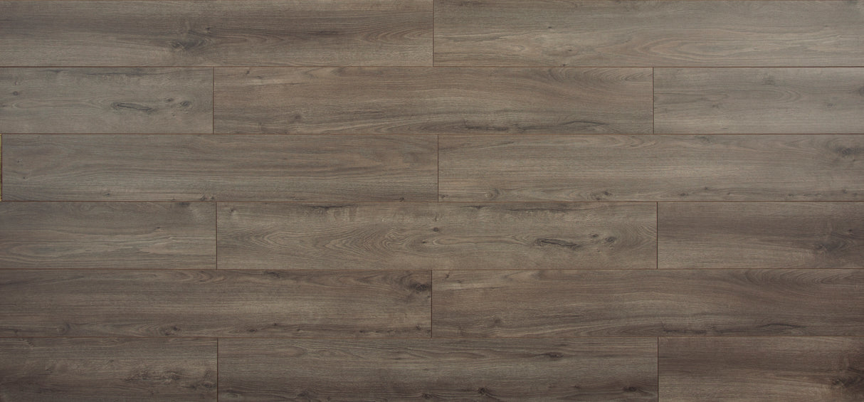 8mm Pewter Oak Laminate Flooring 7.64 in. Wide x 50.63 in. Long - Sample
