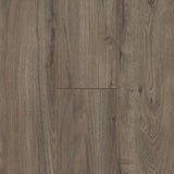 8mm Pewter Oak Laminate Flooring 7.64 in. Wide x 50.63 in. Long