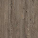 8mm Pewter Oak Laminate Flooring 7.64 in. Wide x 50.63 in. Long