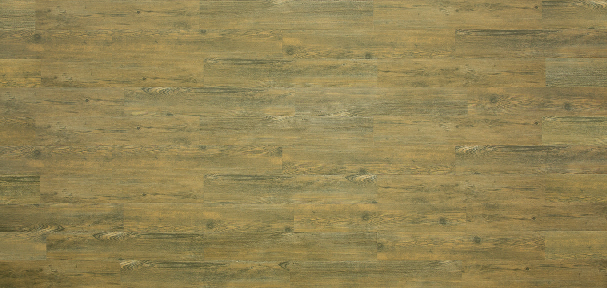 1.5mm North Perry Pine Waterproof Luxury Vinyl Plank Flooring 6 in. Wide x 36 in. Long - Sample