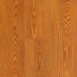 TRQ XD Butterscotch Oak 4mm Click