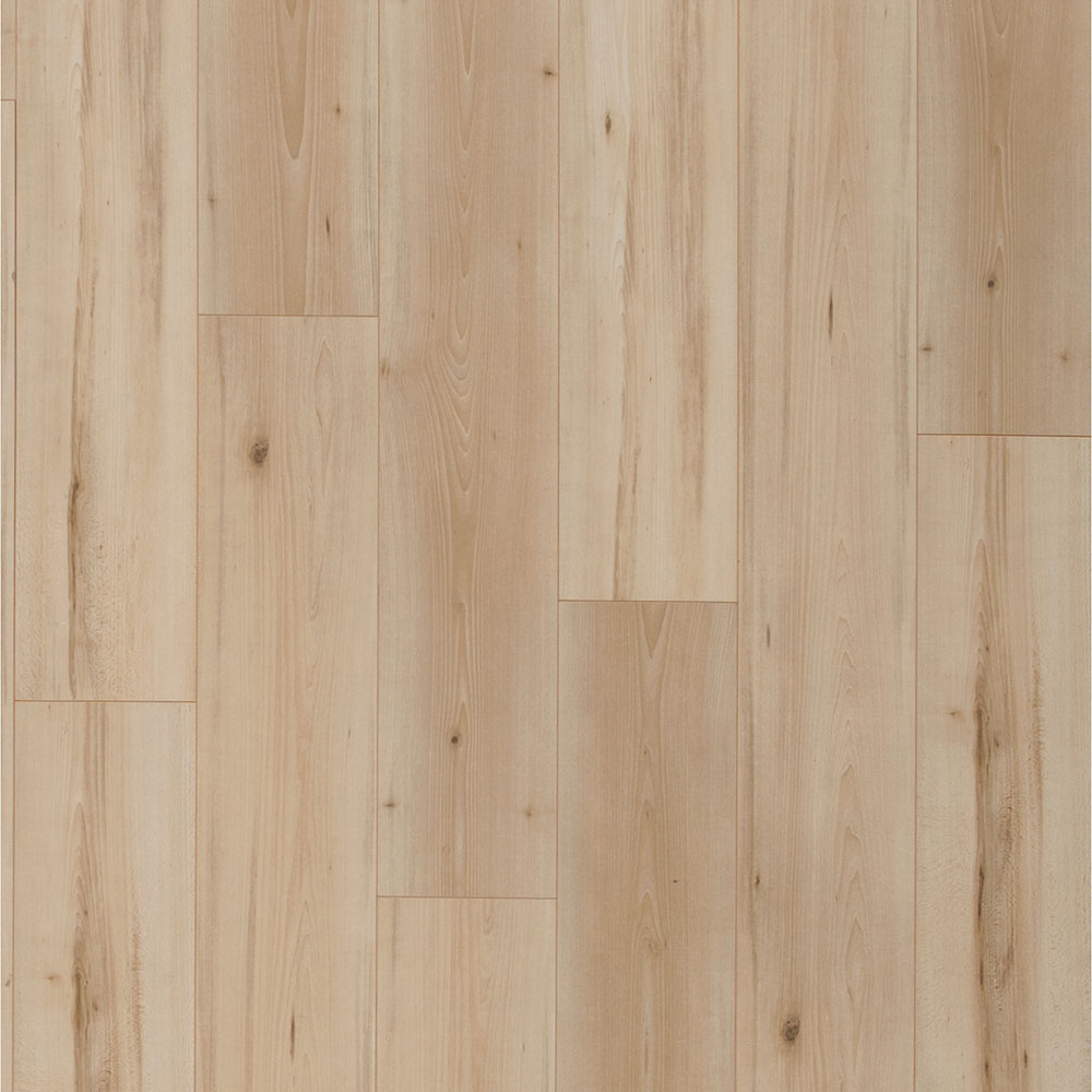 8mm Lake Constance Beech Laminate Flooring 7.6 in. Wide x 54.45 in. Long - Sample