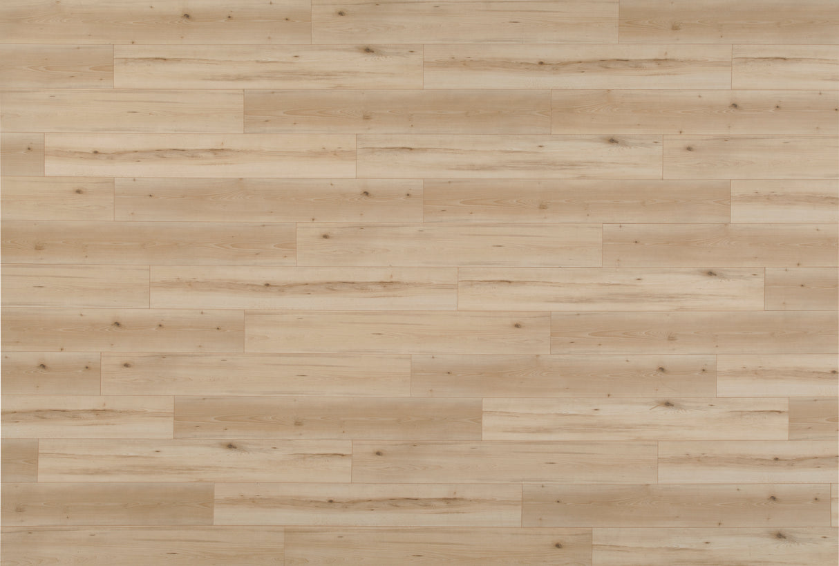 8mm Lake Constance Beech Laminate Flooring 7.6 in. Wide x 54.45 in. Long - Sample