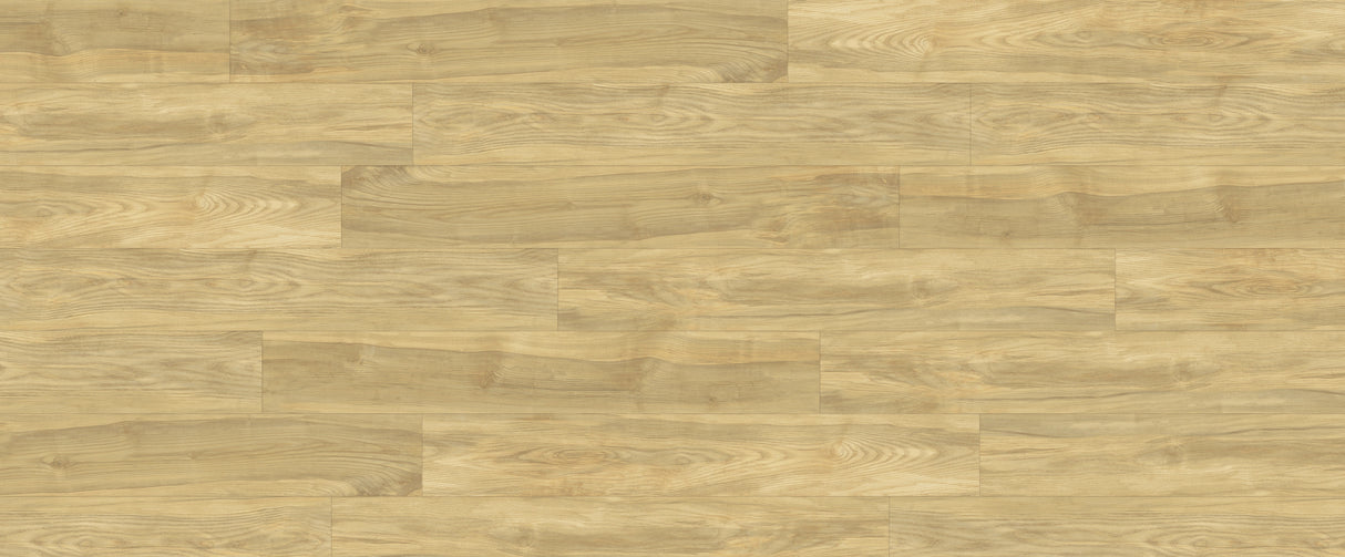 CLX Honey Butter Ash 5mm w/pad