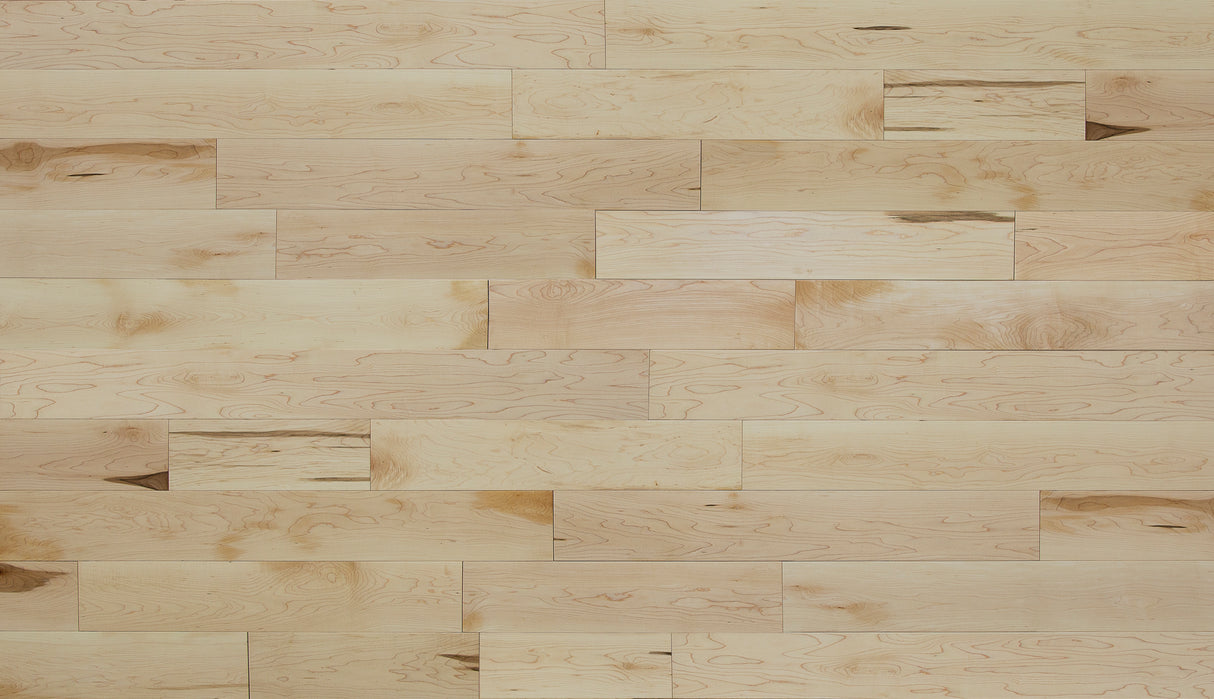 3/4 in. Select Maple Solid Hardwood Flooring 5.25 in. Wide - Sample