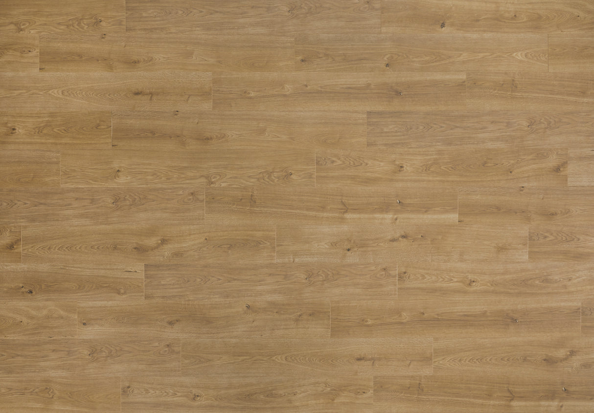 9mm w/pad Bay Bridge Oak Water-Resistant Hybrid Resilient Flooring 7.56 in. W x 50.63 in. L Sample