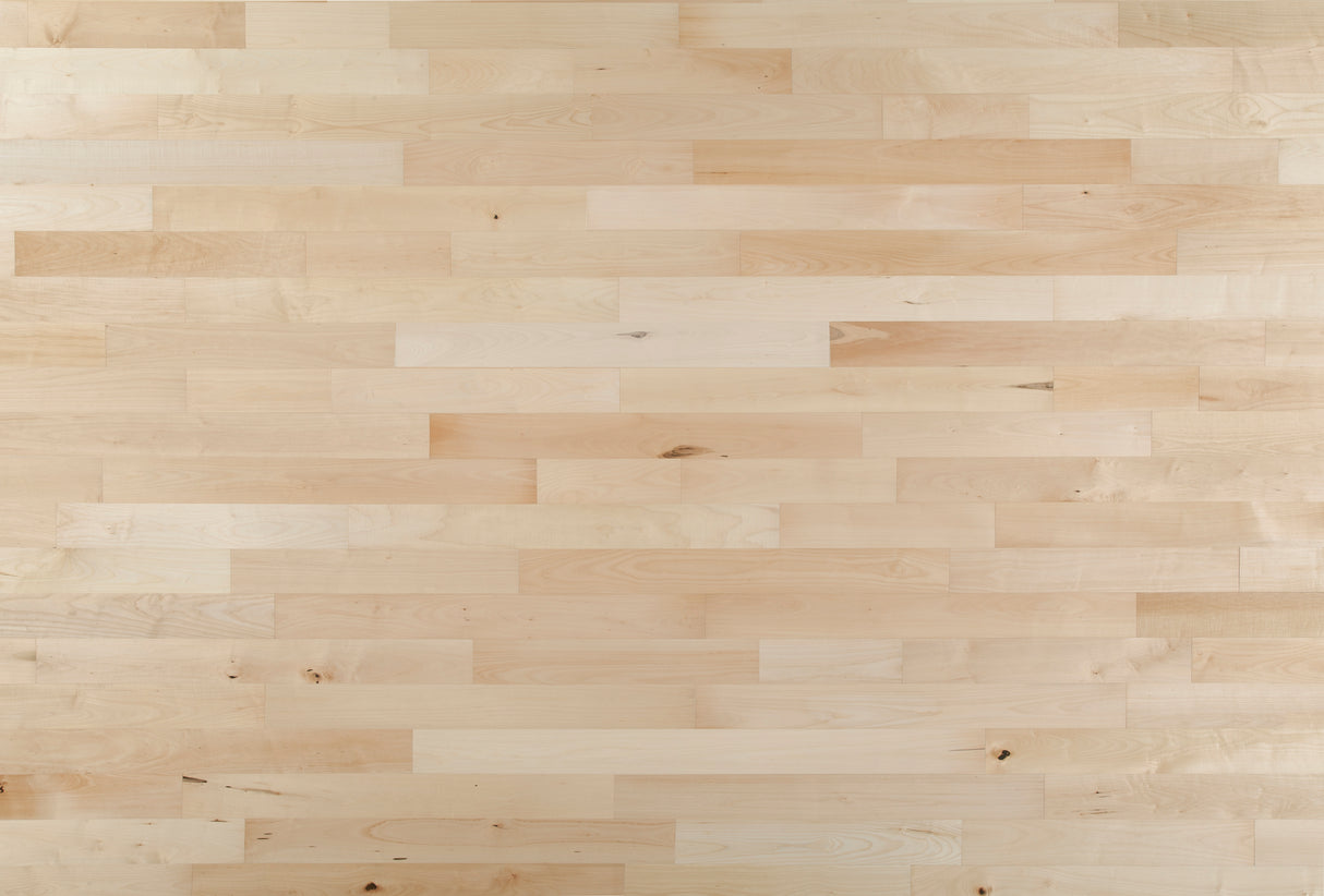 3/8 in. Natural Maple Quick Click Engineered Hardwood - Sample