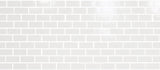 2 in. x 4 in. Vivid White Mosaic Ceramic Tile