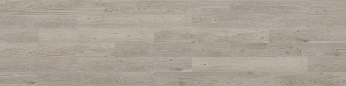 SHW Giovanni Oak 2mm Glue Down