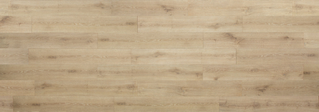 9mm w/pad Lake Lager Oak Water-Resistant Hybrid Resilient Flooring 7.56 in. W x 50.63 in. L - Sample