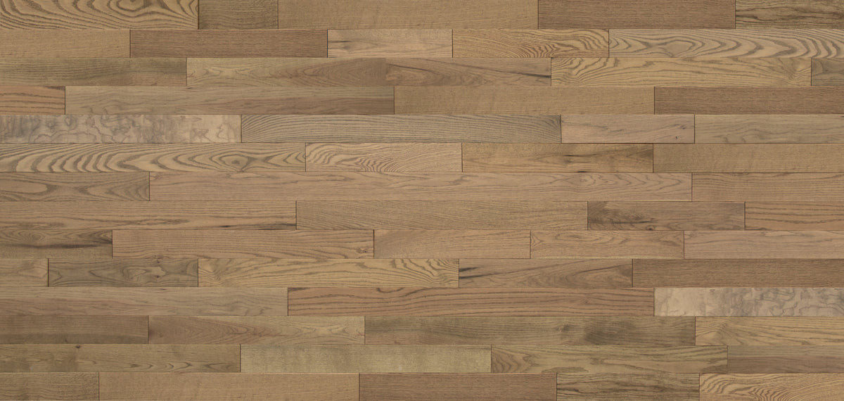 3/4 in. Winter Seaport Oak Solid Hardwood Flooring â€“ Sample