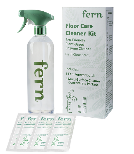 Fern Spray Bottle with Concentrate 4pk