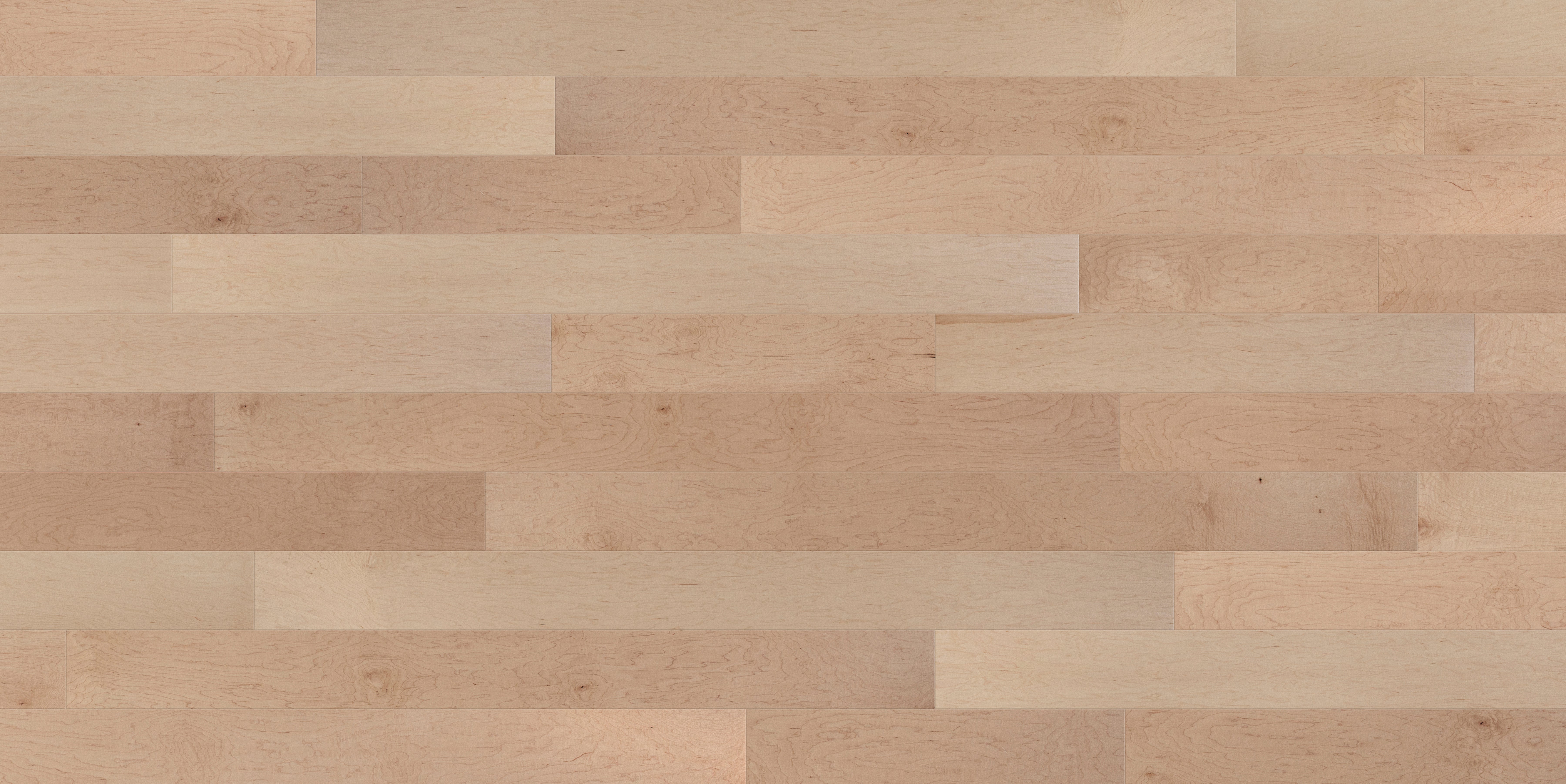 7/16 in. Select Maple Engineered Hardwood Flooring - Sample