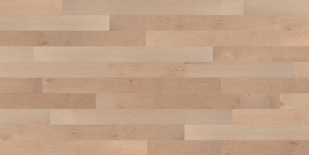 7/16 in. Select Maple Engineered Hardwood Flooring 5.4 in. Wide - Sample