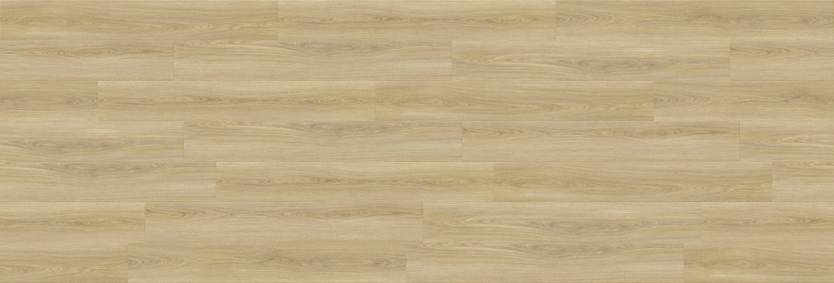 3mm Marathon Oak Waterproof Glue-Down Luxury Vinyl Plank Flooring 7 in. Wide x 48 in. Long - Sample