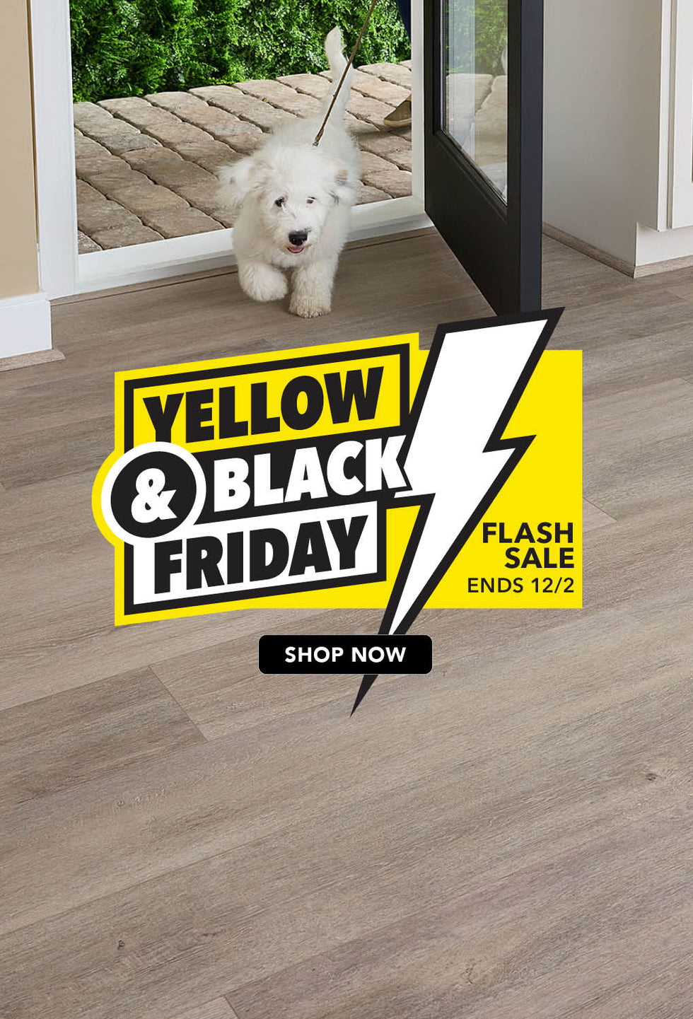 Yellow and Black Friday Flash Sale Ends 12/2