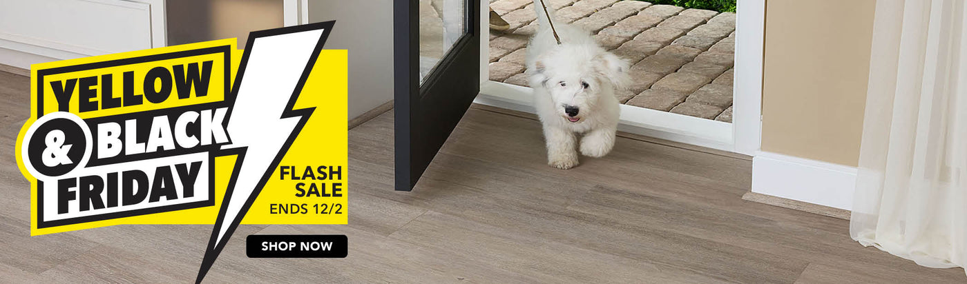 Yellow and Black Friday Flash Sale Ends 12/2