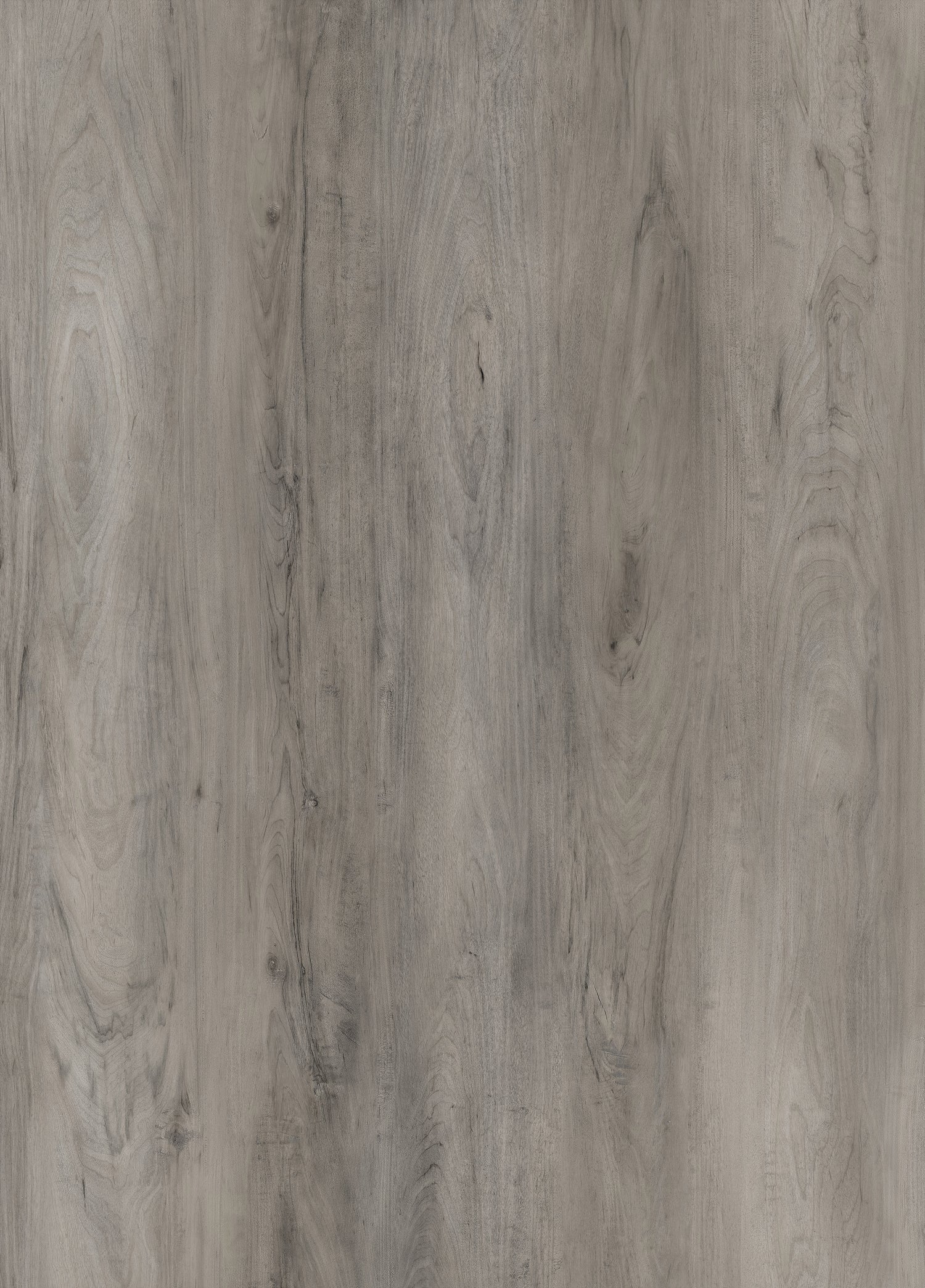 3.2mm Silver County Birch Waterproof Rigid Vinyl Plank Flooring - Sample