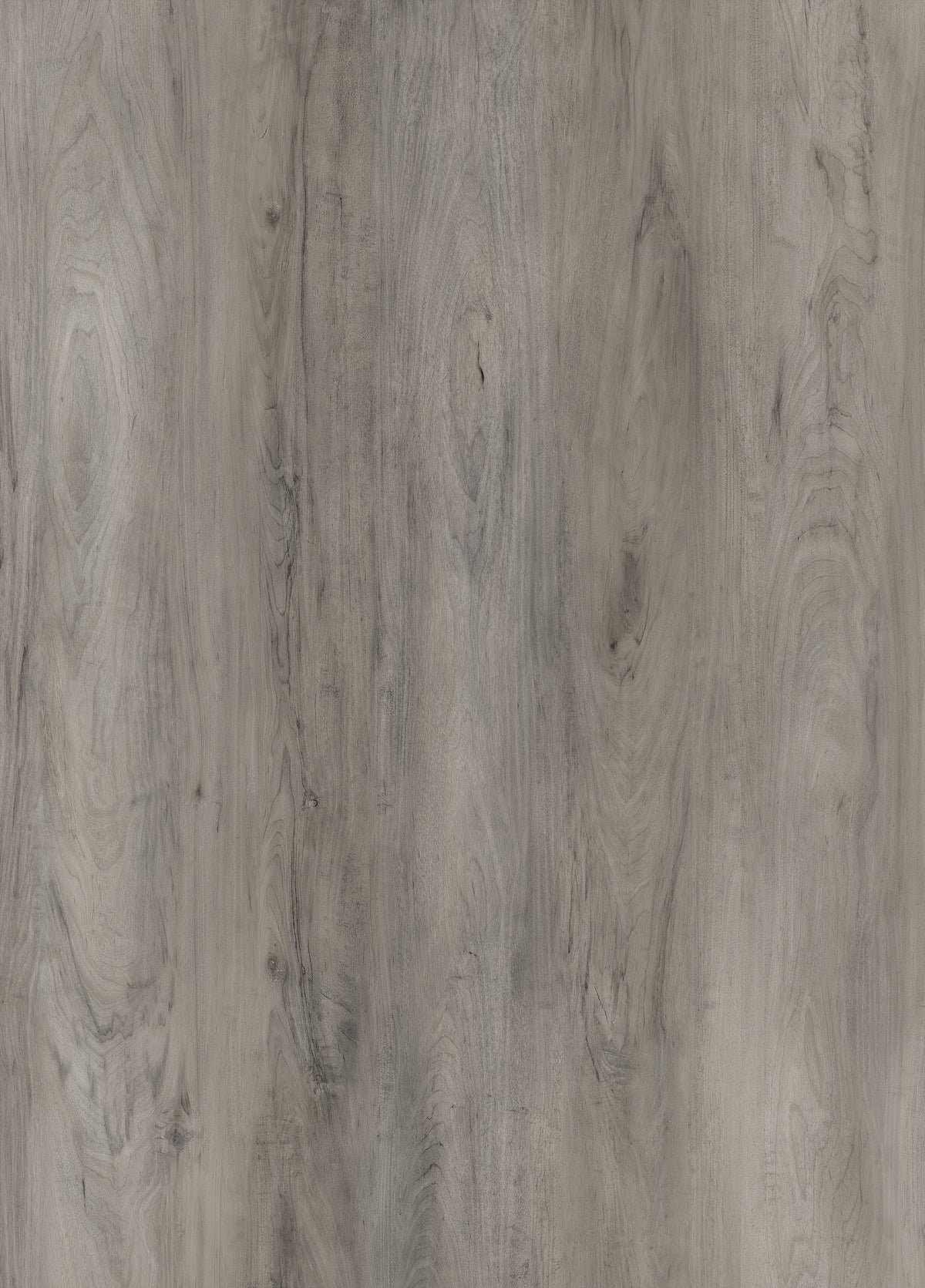 3.2mm Silver County Birch Waterproof Rigid Vinyl Plank Flooring - Sample