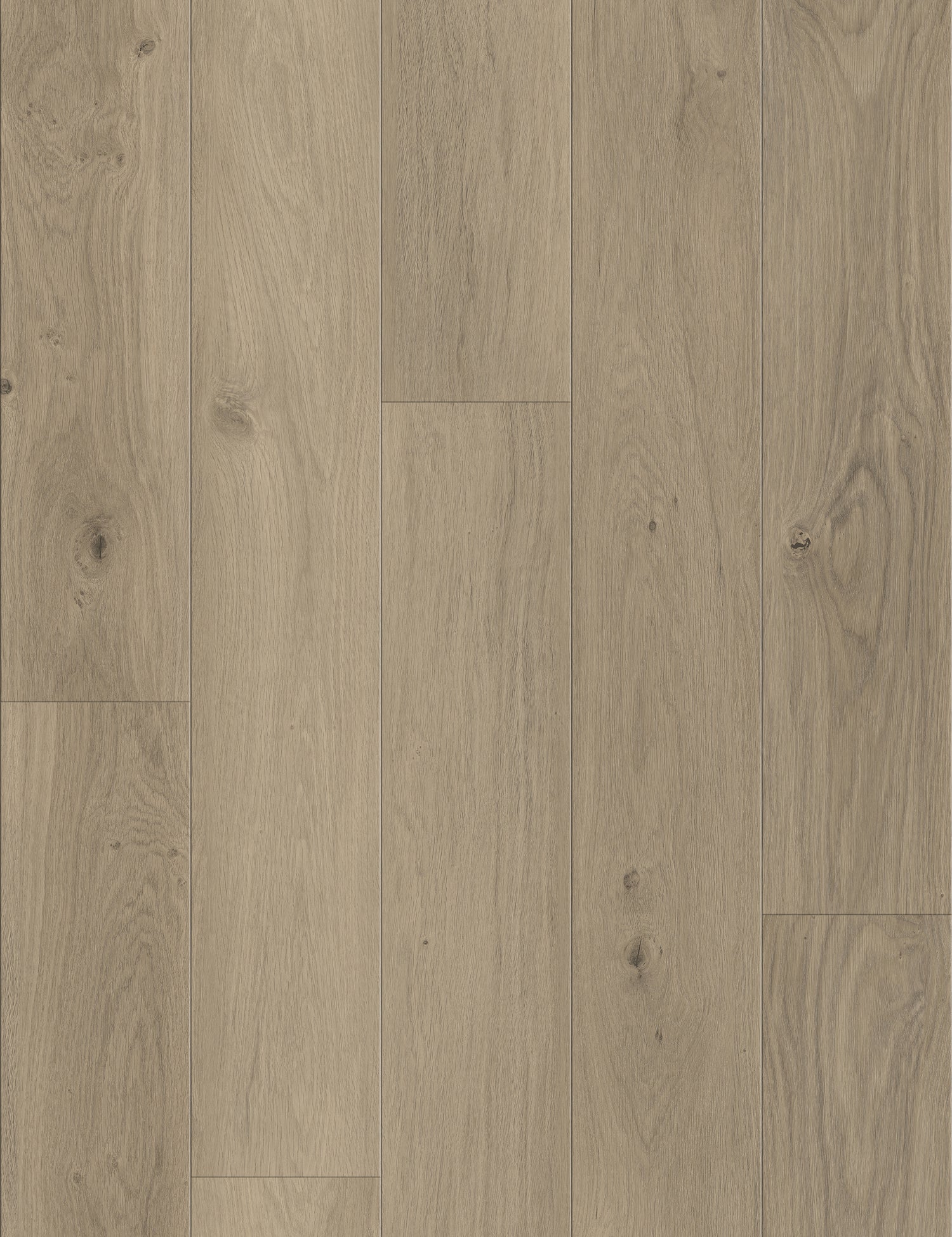 8mm w/pad Coastal Dawn Oak Waterproof WPC Vinyl Plank Flooring 6 in. Wide x 48 in. Long