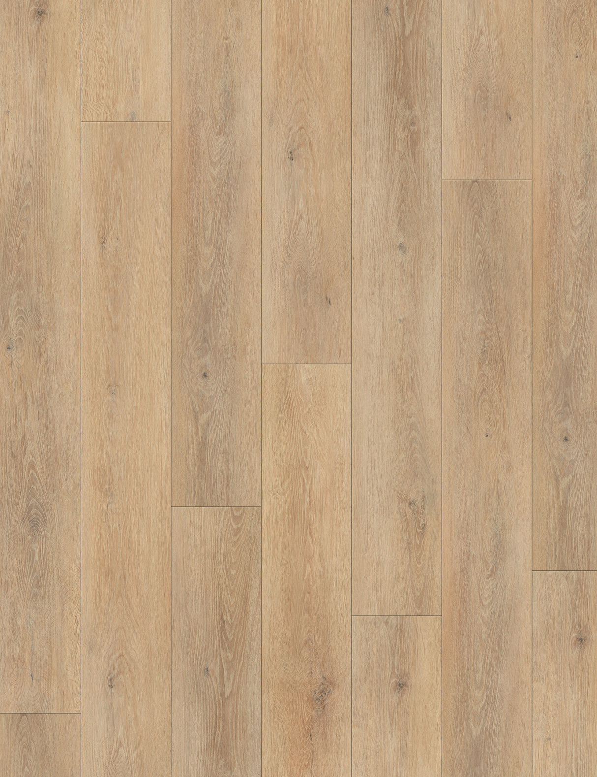 8mm w/pad Sunset Nova Oak Waterproof WPC Vinyl Plank Flooring 6 in. Wide x 48 in. Long