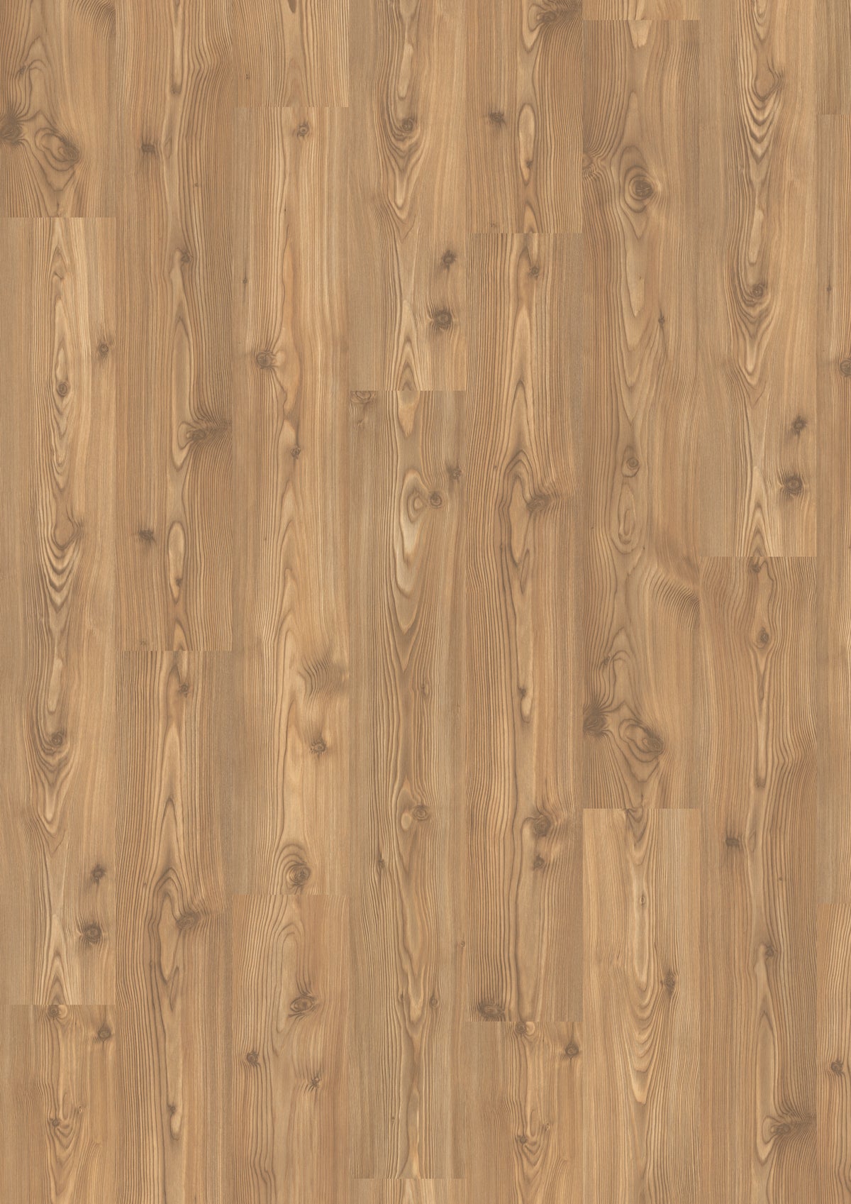 10mm Canadian Pine Water-Resistant Laminate Flooring 7.60 in. Wide x 50.87 in. Long