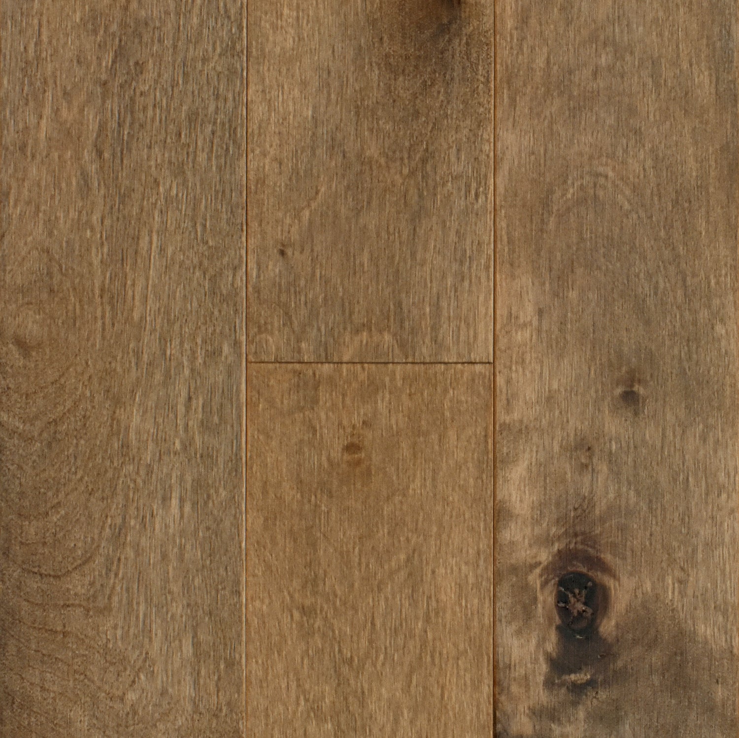 3/4 in. Belle Isle Birch Solid Hardwood Flooring - Sample